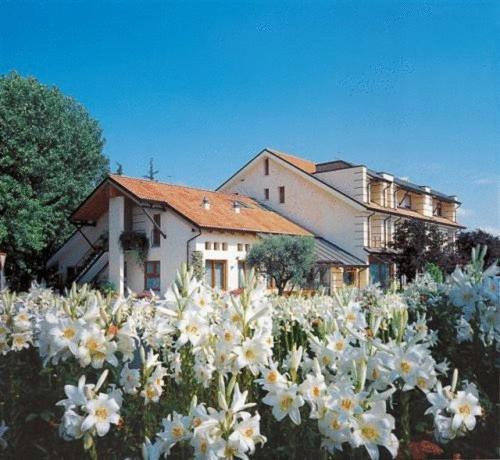 Ca' Delle Rose Hotel Castelfranco Veneto Ngoại thất bức ảnh
